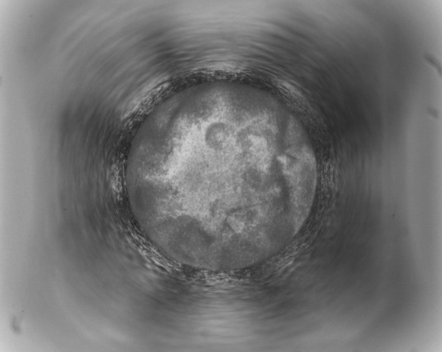 X0000102020774200808151315