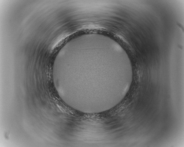 X0000102020775200808151315