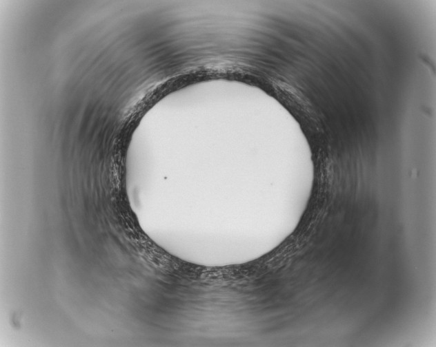 X0000102020776200808151315