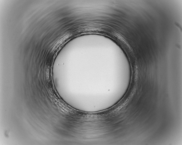 X0000102020777200808151315