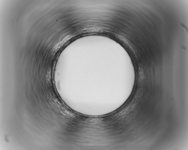 X0000102020778200808151315