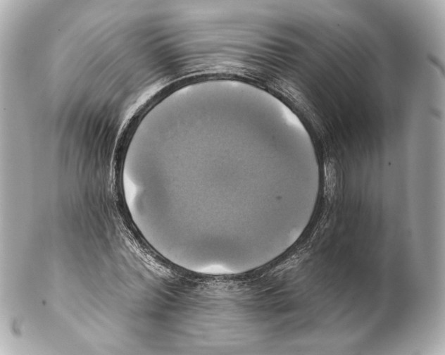 X0000102020780200808151314