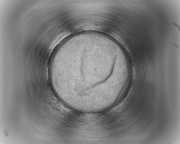X0000102020782200808151314