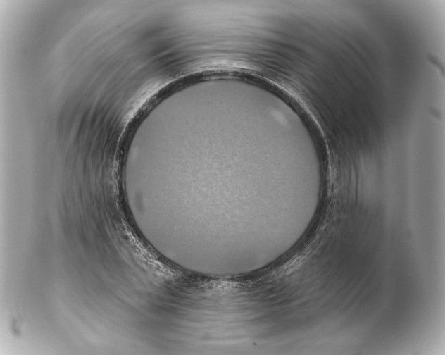 X0000102020783200808151314