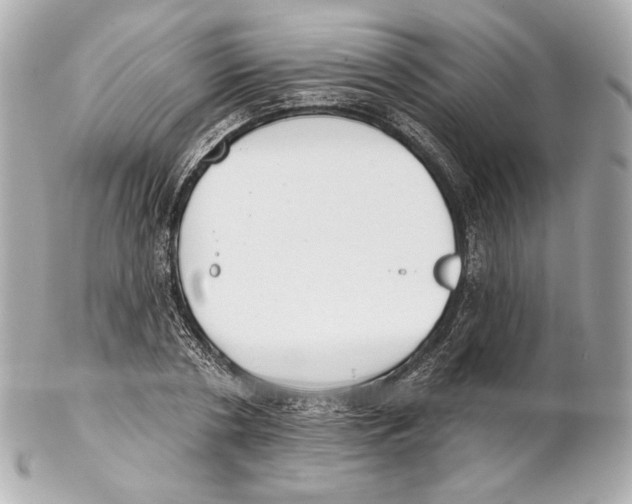 X0000102020786200808151314