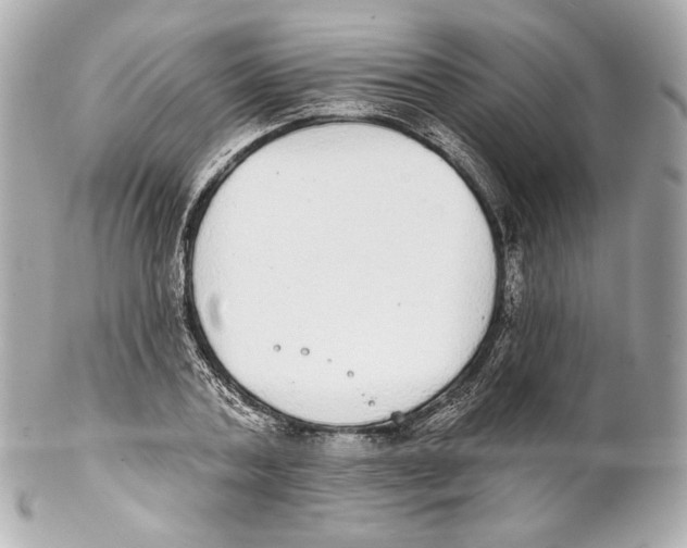 X0000102020787200808151314