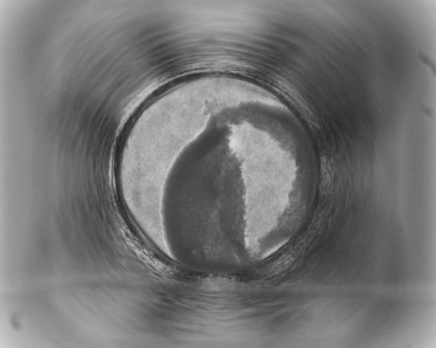 X0000102020788200808151314