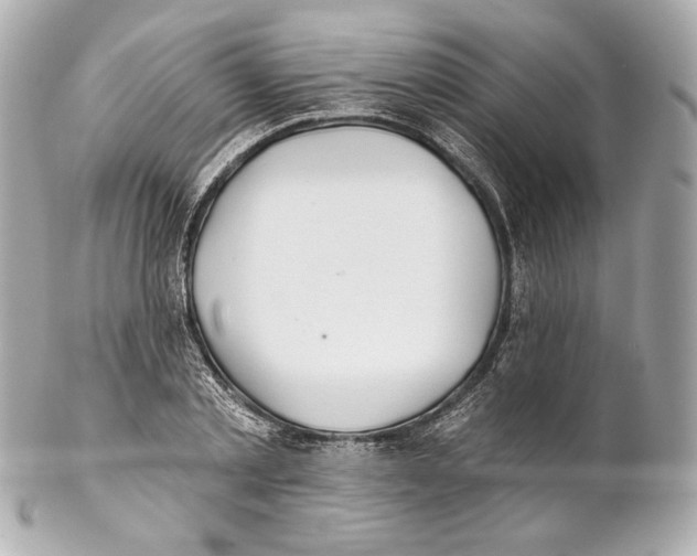 X0000102020789200808151314