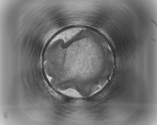 X0000102020791200808151314