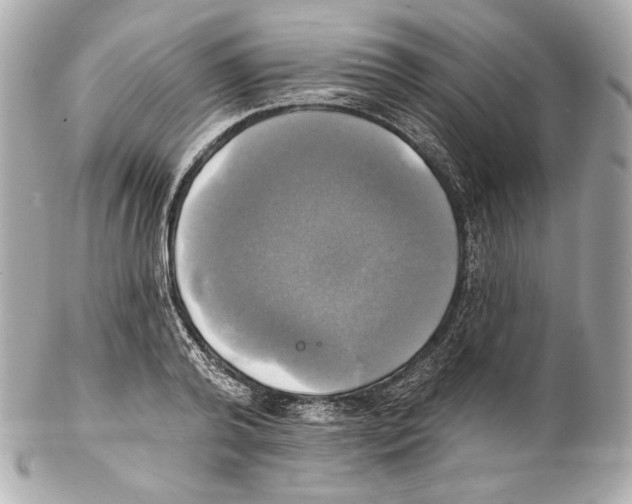 X0000102020792200808151314