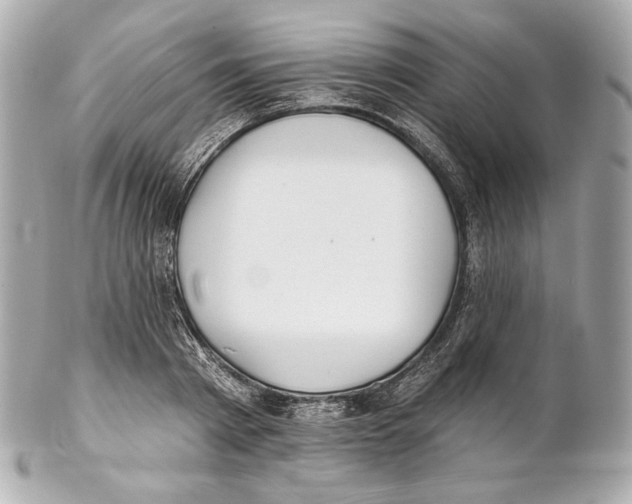 X0000102020793200808151314