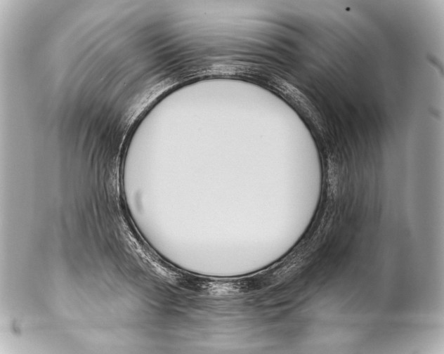X0000102020794200808151314