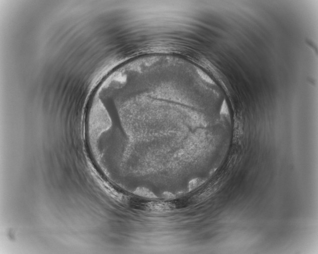 X0000102020795200808151314