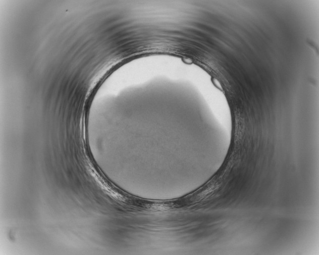 X0000102020796200808151314