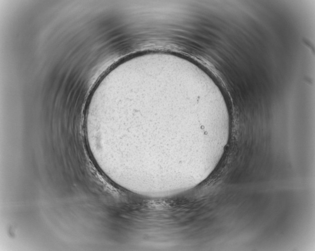 X0000102020799200808151314