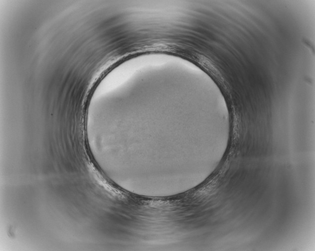 X0000102020800200808151314