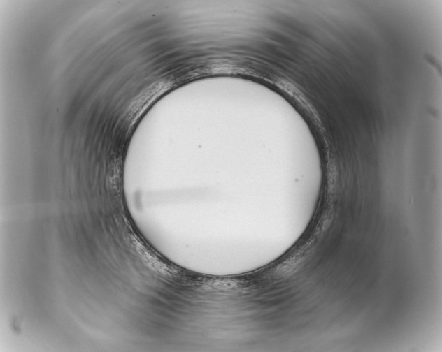 X0000102020801200808151314