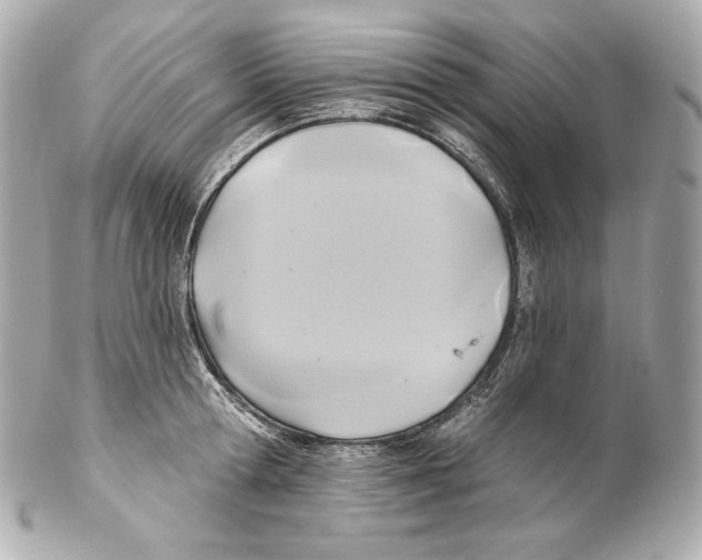 X0000102020802200808151314