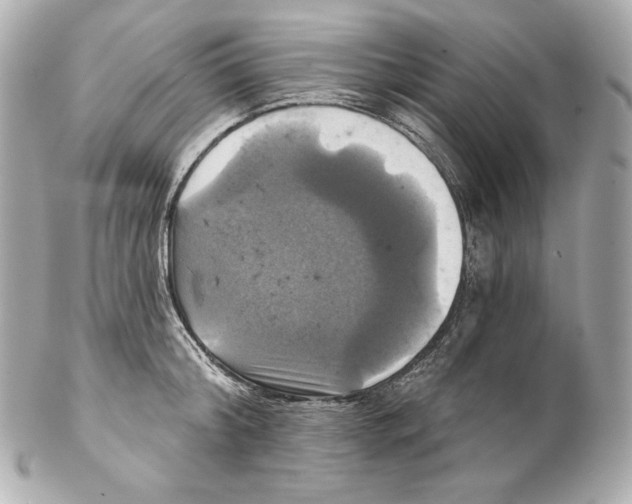 X0000102020804200808151314