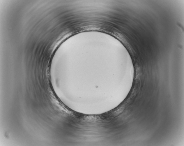 X0000102020806200808151314