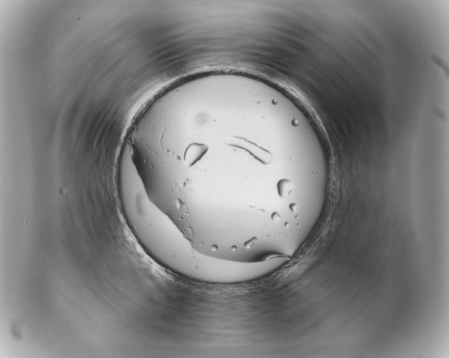 X0000102020807200808151314