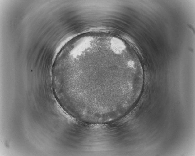 X0000102020808200808151314