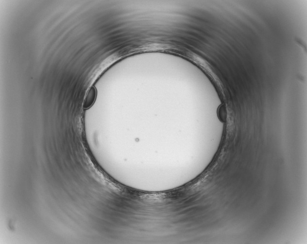 X0000102020810200808151314