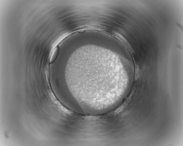 X0000102020812200808151314