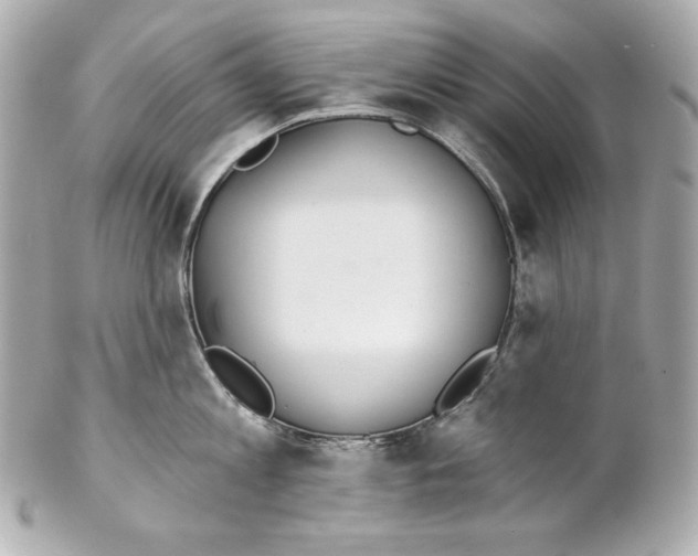 X0000102020813200808151314