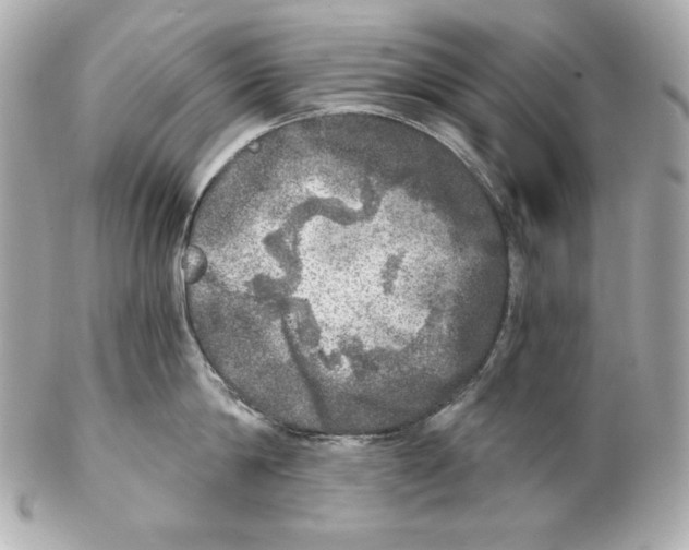 X0000102020814200808151314