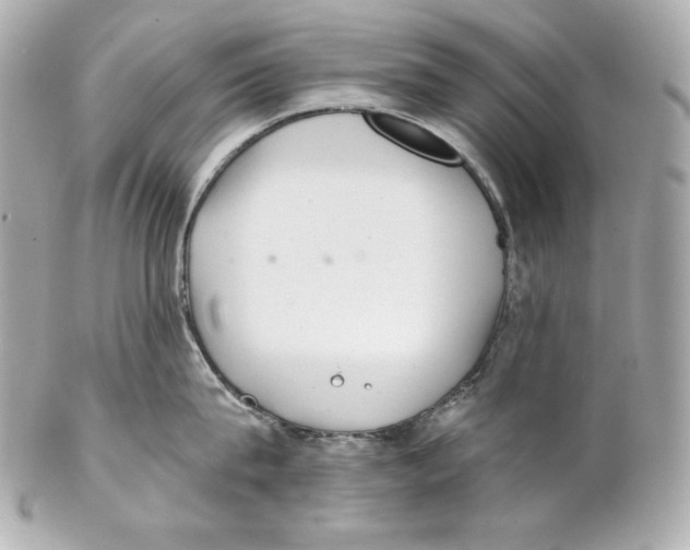 X0000102020815200808151314