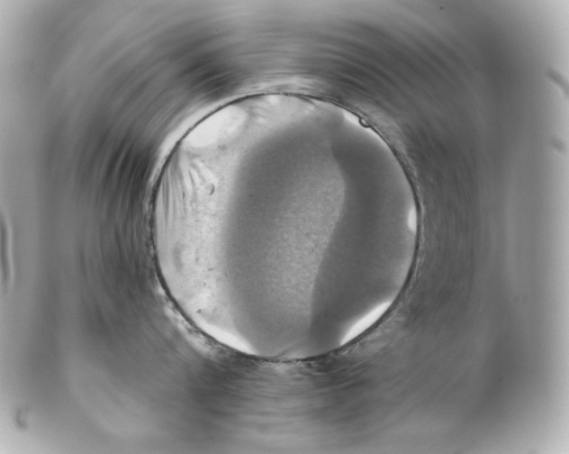 X0000102020816200808151314