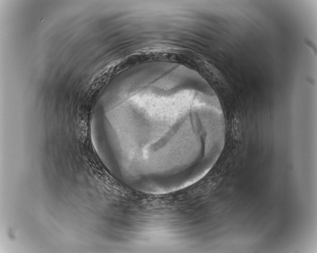 X0000102020821200808151313
