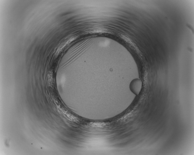 X0000102020825200808151313