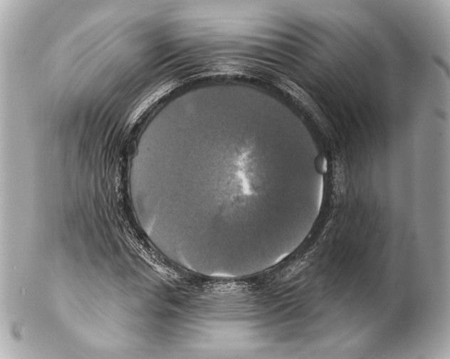X0000102020826200808151313