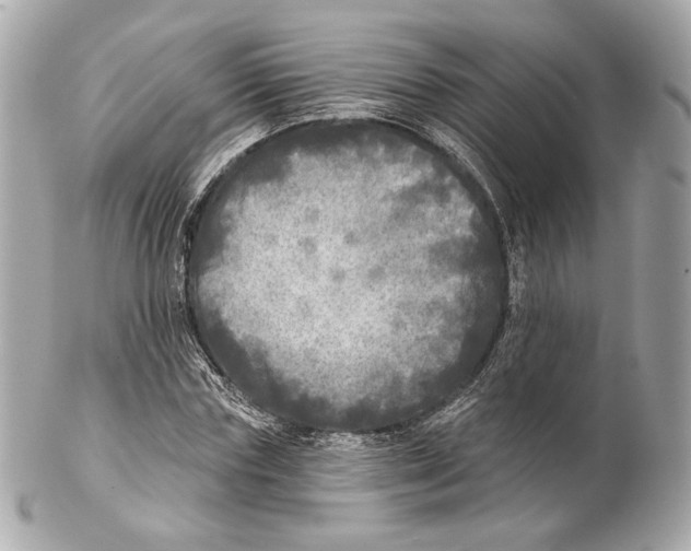 X0000102020827200808151313