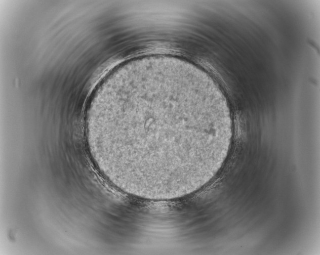 X0000102020828200808151313