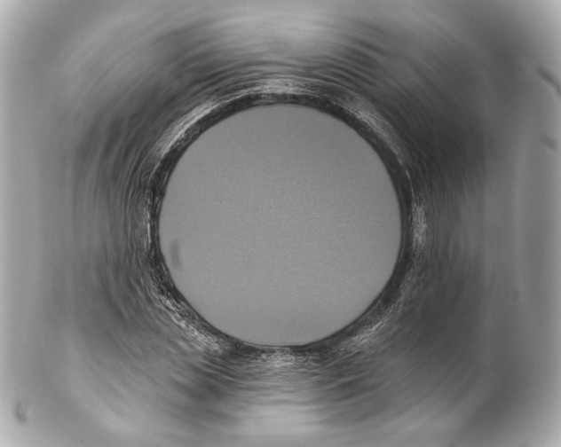 X0000102020829200808151313