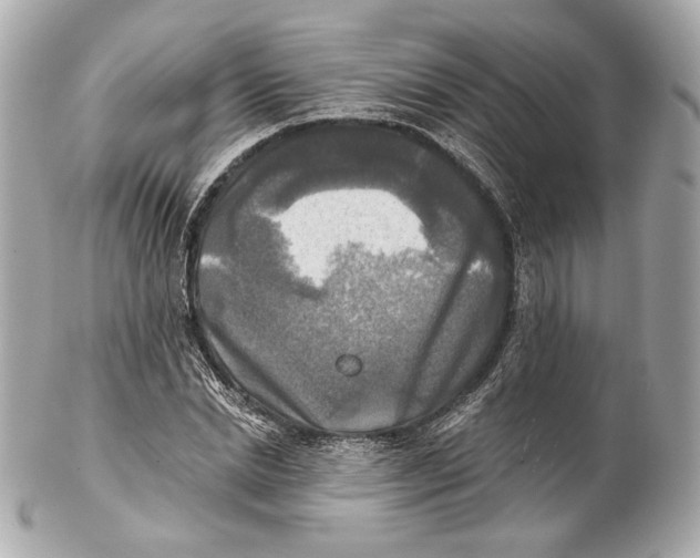 X0000102020830200808151313