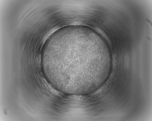 X0000102020831200808151313