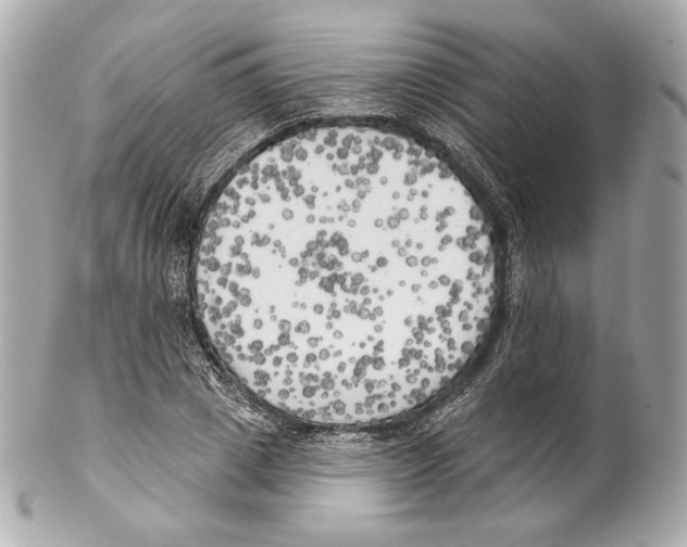 X0000102020833200808151313