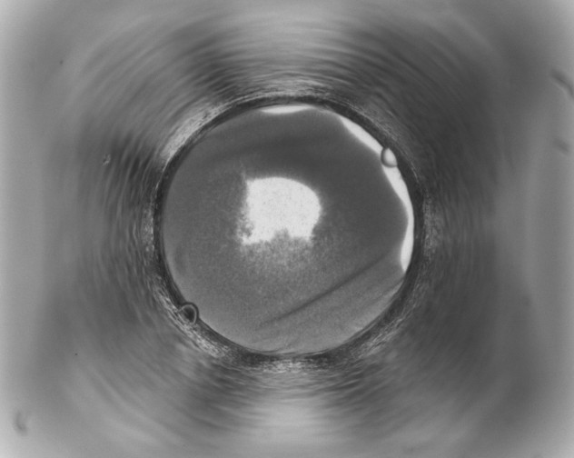 X0000102020834200808151313