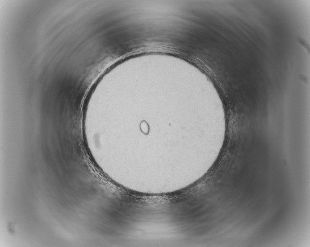 X0000102020836200808151313