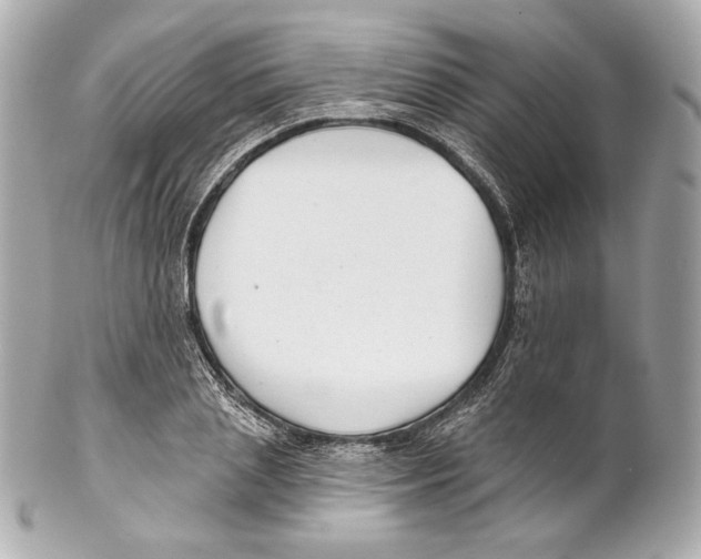 X0000102020837200808151313