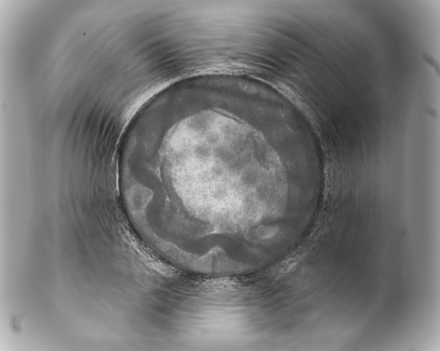 X0000102020838200808151313