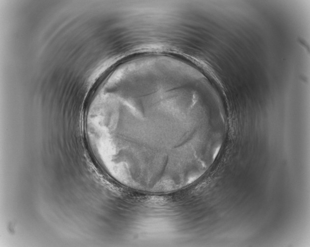 X0000102020839200808151313
