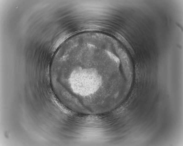 X0000102020842200808151313