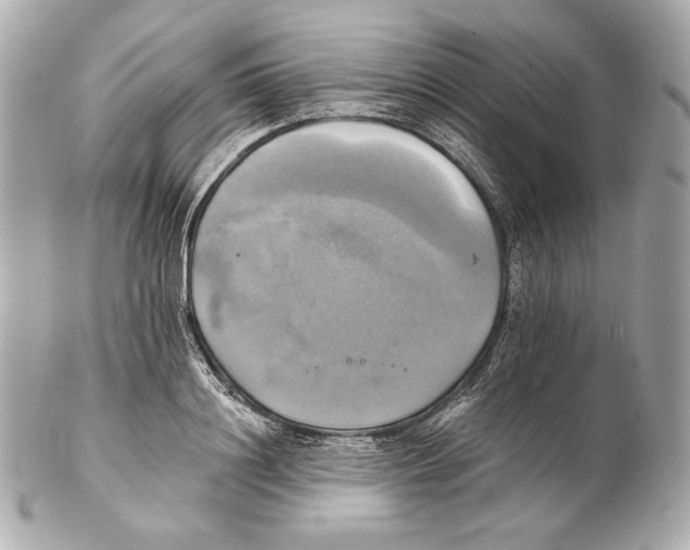 X0000102020844200808151313