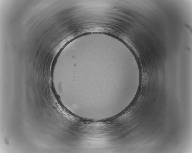 X0000102020845200808151313