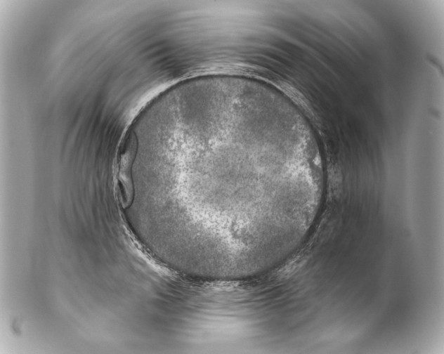 X0000102020846200808151313